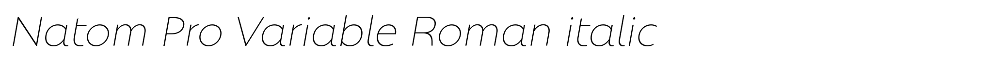 Natom Pro Variable Roman italic image